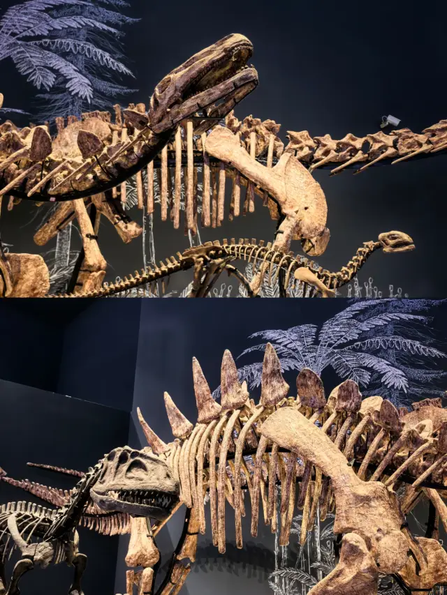 Chengdu Museum of Natural History