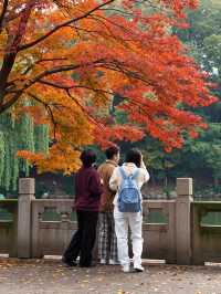 如果秋天是上帝嘅調色盤,咁雲平山,無疑係其中最醉人嘅嗰一抹仙境。