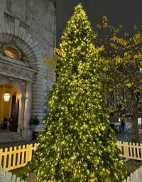 芬蘭極光下遇見聖誕老人！這座童話小鎮美哭了