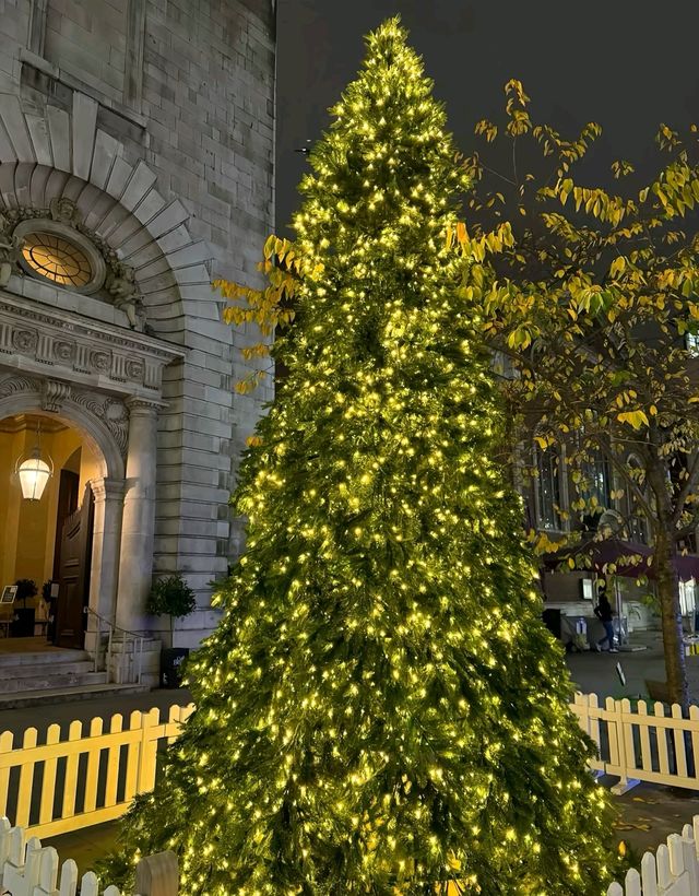 芬蘭極光下遇見聖誕老人！這座童話小鎮美哭了