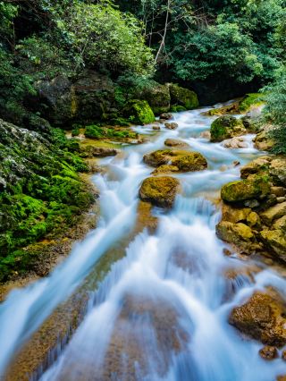 드디어 누군가가 리보 샤오치콩을 한 번에 명확하게 설명했네요