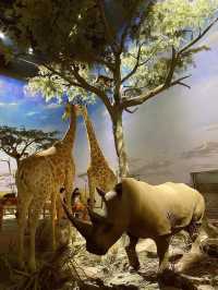 上海自然博物館 | 會呼吸的綠螺,超震撼的自然世界!