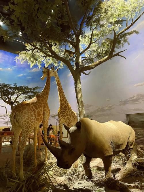 上海自然博物館 | 會呼吸的綠螺,超震撼的自然世界! 上海自然博物館 | 會呼吸的綠螺,超震撼的自然世界!