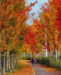 貴陽是五顏六色，多姿多彩的