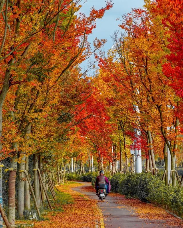 貴陽是五顏六色，多姿多彩的