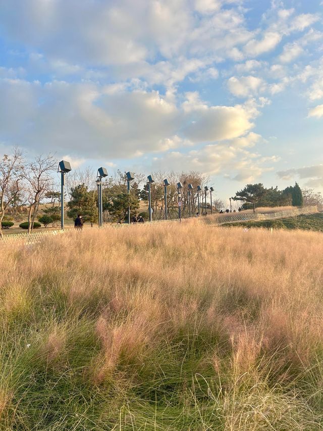 青島9大天然氧吧大公開拍照吸氧兩不誤！