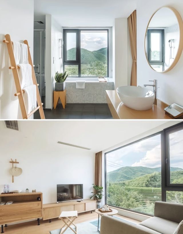 大樂之野·綠山牆住進茶園山谷裡的森系山居