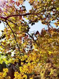 【河南省湯陰縣】毓秀園。