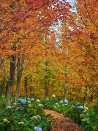 小眾玩法大公開