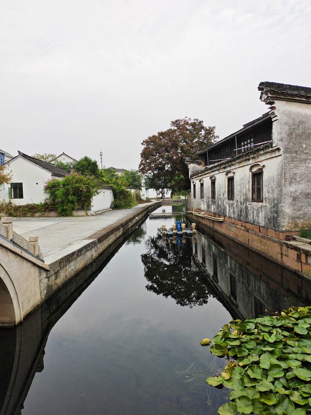 朱家門巷陌，一橋煙雨話狀元