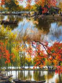 南京莫愁湖賞秋攻略｜一年一度做「飽和度戰士」的時間到啦！