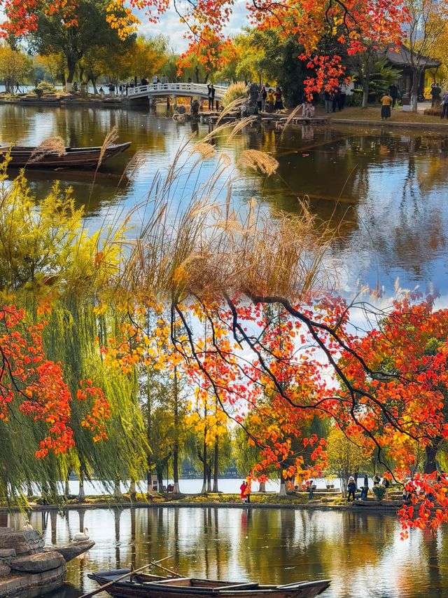 南京莫愁湖賞秋攻略｜一年一度做「飽和度戰士」的時間到啦！