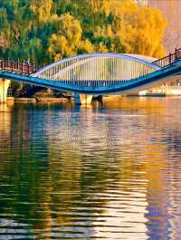 赴一場萬柳塘公園的秋日之約