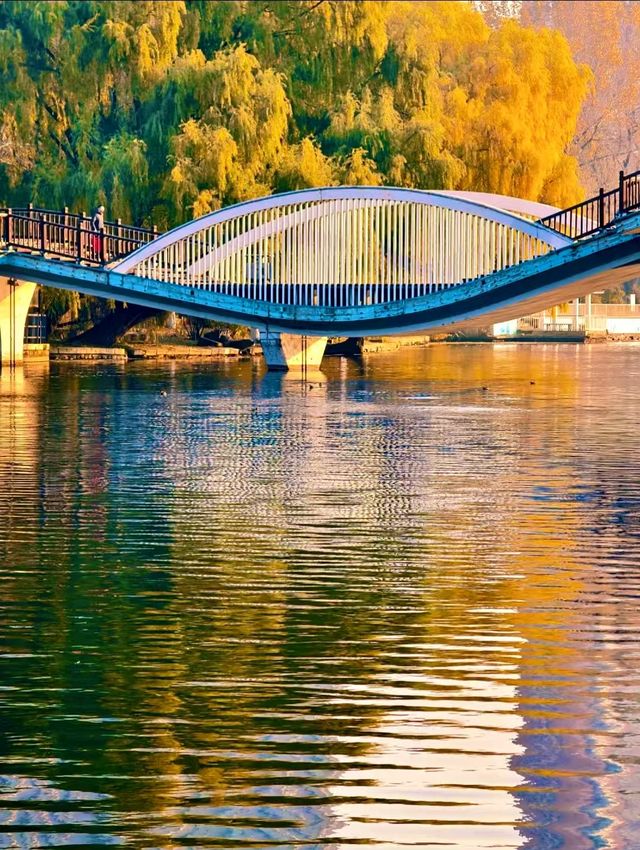 赴一場萬柳塘公園的秋日之約