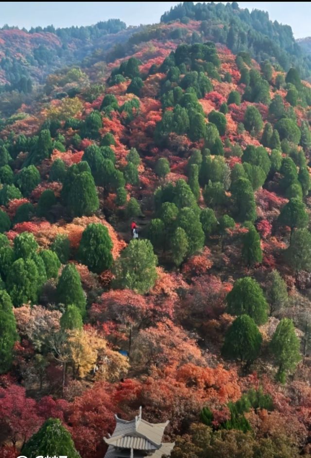 北國秋日仙境!紅葉谷絕美打卡攻略 北國秋日仙境!紅葉谷絕美打卡攻略
