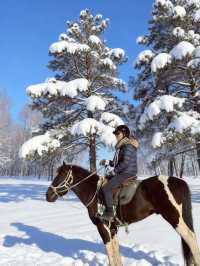 亞布力5日雪騎訓練丨0基礎變身草原騎士