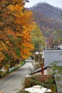 西安周邊丨沒有人能拒絕住進秦嶺群山深處……