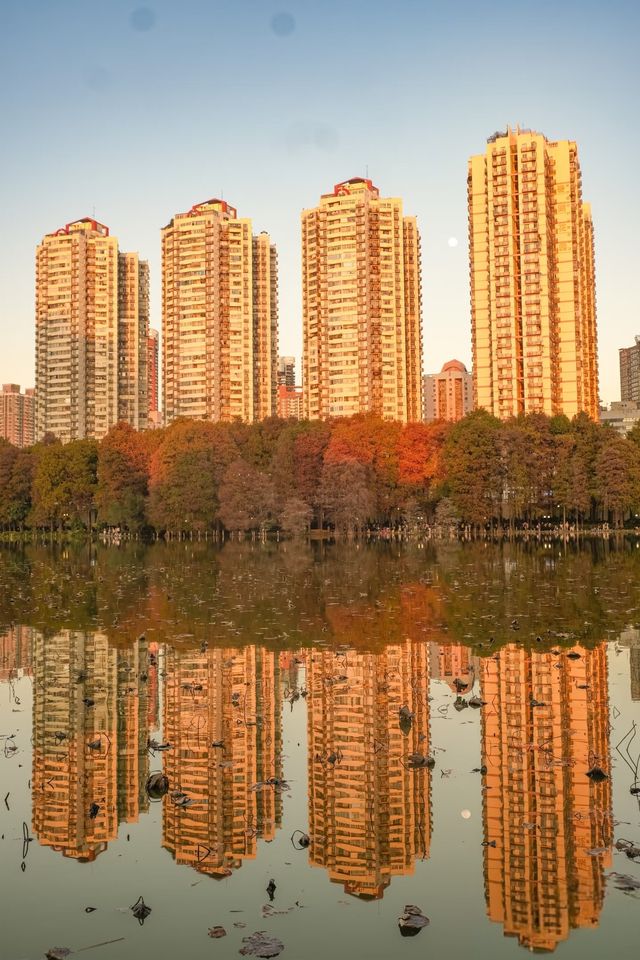 深圳追一場秋日童話