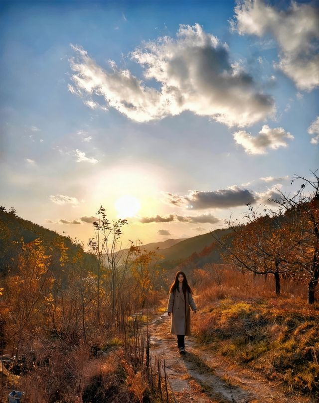 煙台龍口4km徒步封神線!野趣出片雙在線 煙台龍口4km徒步封神線!野趣出片雙在線