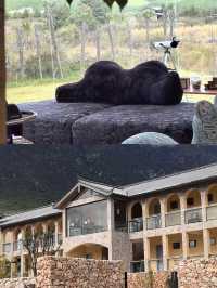 冬天……麗江現狀 真的太美啦