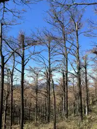 四明山十字褲徒步 上海-餘姚