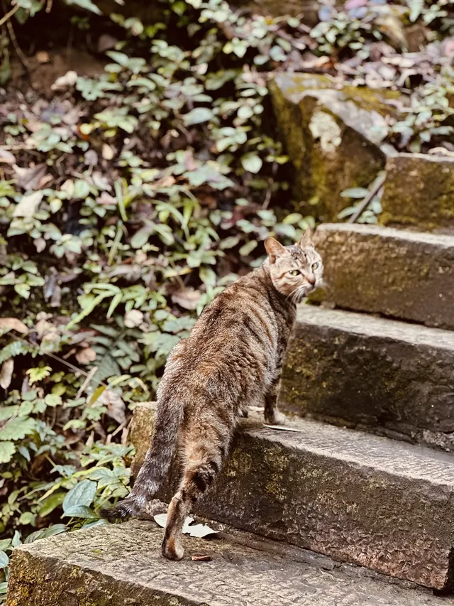 張家界徒步走斷腿系列11.13 張家界徒步走斷腿系列11.13