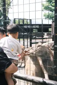 萬寧半日遊 | 打卡超適合小寶寶的牧場