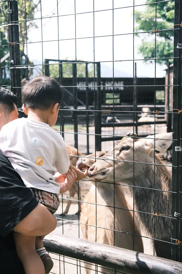 萬寧半日遊 | 打卡超適合小寶寶的牧場