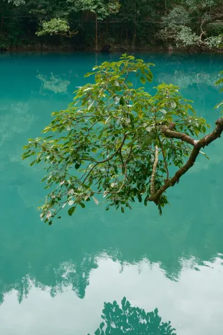 The Emerald of the Human World, Xiaoqikong, didn’t let me lose face in front of my parents