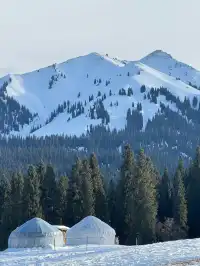 冬季伊犁|我在新疆找到的冰雪