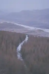 不想上班的小張今天去樺皮嶺