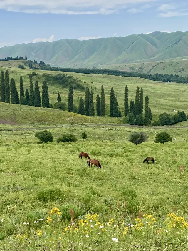 新疆伊犁8天暴走行程|自由行旅遊攻略 新疆伊犁8天暴走行程|自由行旅遊攻略