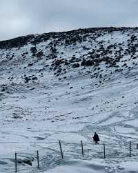 這簡直就是 滑雪愛好者的福音!!!