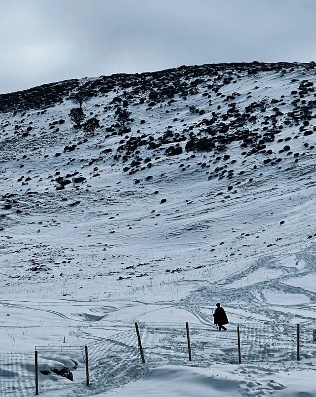 這簡直就是 滑雪愛好者的福音!!! 這簡直就是 滑雪愛好者的福音!!!