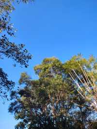 闖入普洱秘境被這片鋪天蓋地的藍治癒了