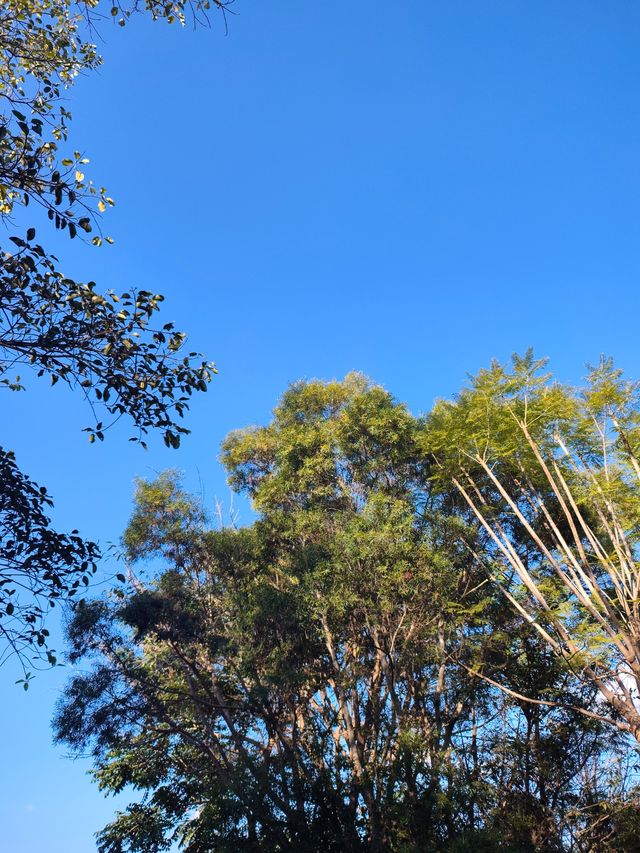 闖入普洱秘境被這片鋪天蓋地的藍治癒了 闖入普洱秘境被這片鋪天蓋地的藍治癒了