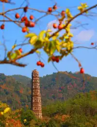 秋日國清寺:在千年古剎尋一份靜謐