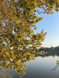 江南最後的秘境!慈城古鎮一日遊保姆級攻略