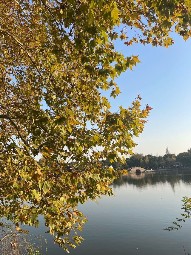 江南最後的秘境!慈城古鎮一日遊保姆級攻略 江南最後的秘境!慈城古鎮一日遊保姆級攻略