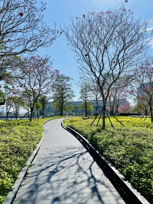 深圳又多一個週末遛娃、海邊徒步的好去處 深圳又多一個週末遛娃、海邊徒步的好去處