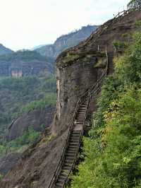 秋冬武夷!人少景美還暖胃