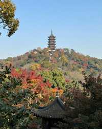 建築與自然的詩意碰撞|踏千年城垣,尋江南福地,感受古邑風雅