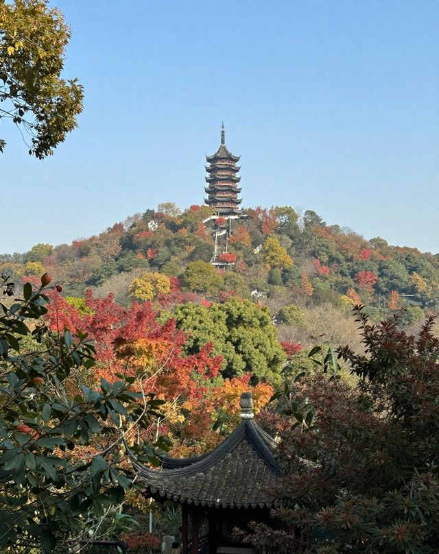 建築與自然的詩意碰撞|踏千年城垣,尋江南福地,感受古邑風雅 建築與自然的詩意碰撞|踏千年城垣,尋江南福地,感受古邑風雅