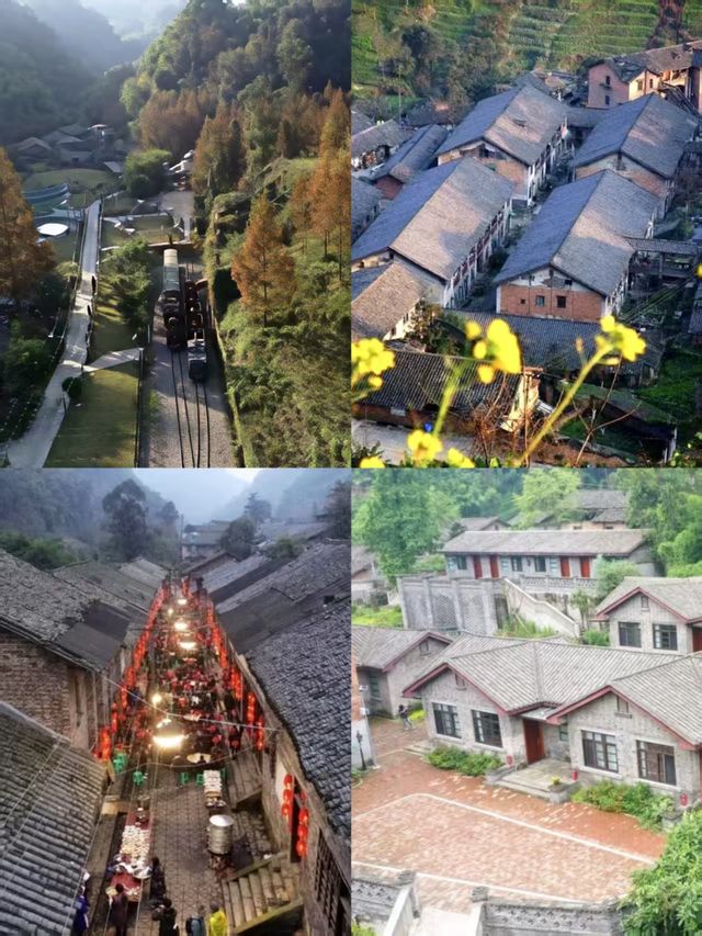 桫欏湖邀您共赴一場自然與人文的盛宴之約