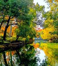 上海楊浦免費賞秋地