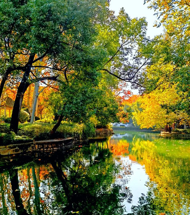 上海楊浦免費賞秋地