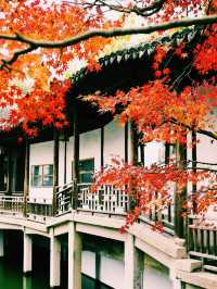 錯過無錫的秋 ，該有多遺憾吖