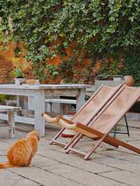 西街旁54號驚喜!來泉州住這裡還是太幸hu了~