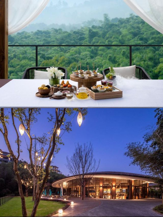 竹海秘境!這酒店絕了! 竹海秘境!這酒店絕了!