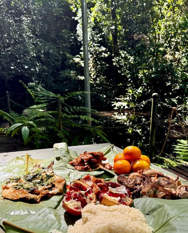 勐臘旅居優選！這家智能酒店，承包你的雨林漫遊與地道風味